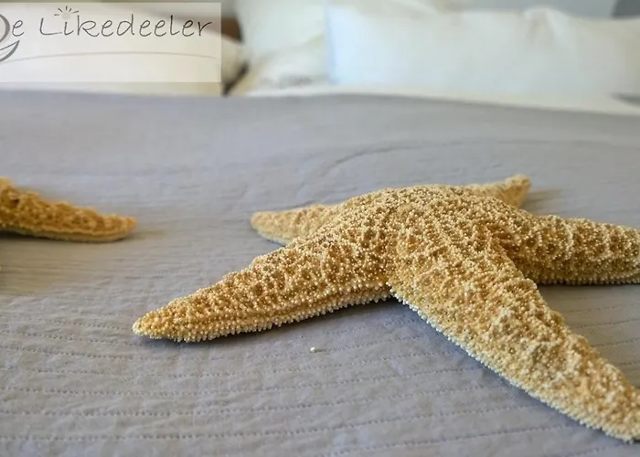 Reethaus De Likedeeler Циров